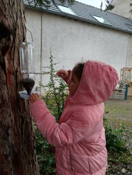 ÉCOLE LE DEVOIR : SENSIBILISATION À LA PROTECTION DE LA NATURE - Ensemble St Charles