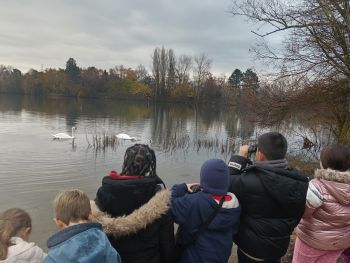 ÉCOLE LE DEVOIR : SENSIBILISATION À LA PROTECTION DE LA NATURE - Ensemble St Charles