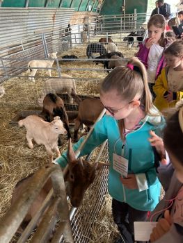 Sortie à la ferme de Sagy - Ensemble St Charles