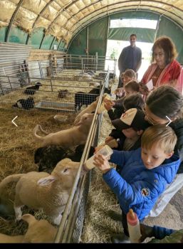 Sortie à la ferme de Sagy - Ensemble St Charles